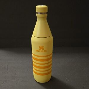 Stanley 20oz Stainless Steel Day Slim Bottle Sunshine Striped Target edition